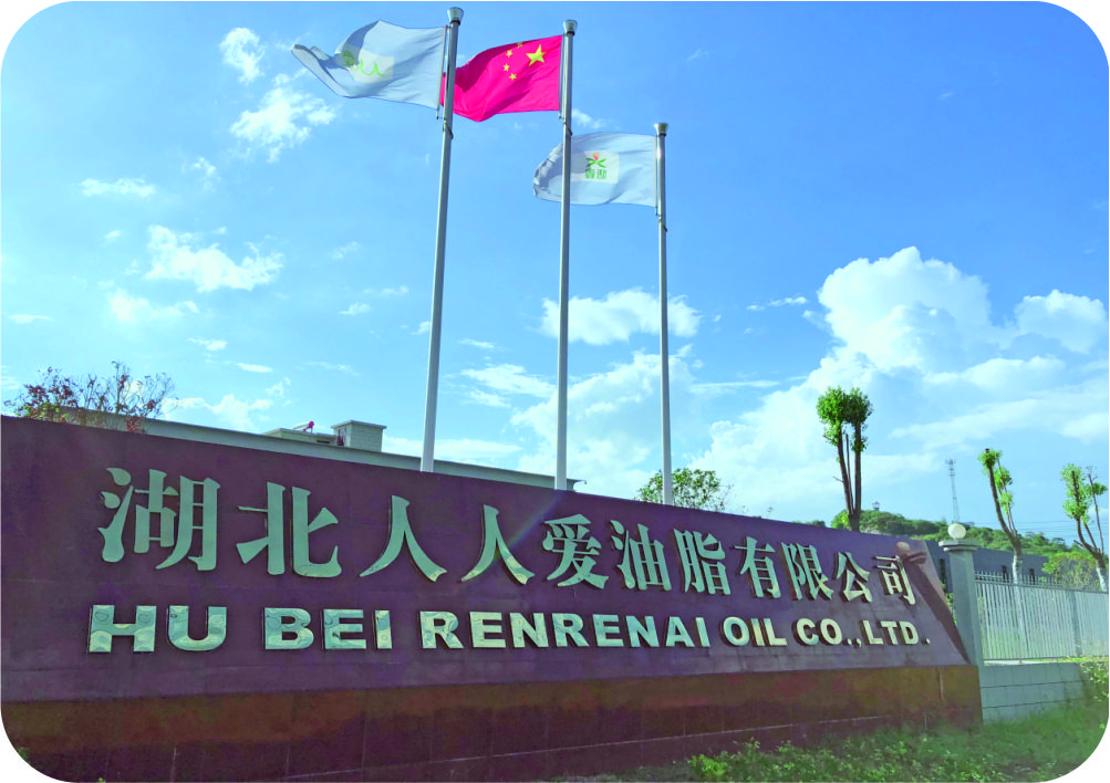 湖北人人愛50噸/天茶籽制油項目